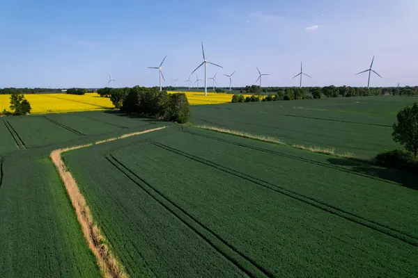 Aerial View Wind Turbine Grassy Yellow Farm Canola Field Cloudy — Stock Photo, Image