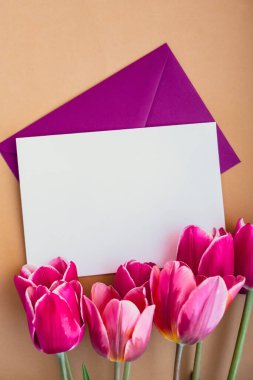 Bej arka planda güzel pembe lale buketi olan metin ya da tasarımın için boş beyaz zarf kopyalama alanı. Tatil bahar tebrik kartı için şablon oluşturun. Üst görünüm Düz boş kağıt kadın yatıyordu