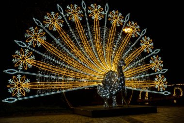 Oliva Park Gdansk Polonya 'da Tavuskuşu Tatili süsleri yaktı. Geceleri güzel bir Noel panayırı. Avrupa 'da kış uykusuna yatmış. Aralık 'ta Noel Pazarı