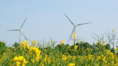 Kırsal bölgedeki bulutlu mavi gökyüzüne karşı çimenli sarı kanola tarlasında rüzgar türbini. İklim dostu yenilenebilir enerji kavramı. Rüzgar santrali elektrik üretiyor. Yenilenebilir yeşil temiz