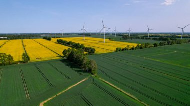 Kırsal bölgedeki bulutlu mavi gökyüzüne karşı çimenli sarı kanola tarlasında hava manzaralı rüzgar türbini. Polonya 'nın tarım arazilerinde bulutları olan açık deniz yel değirmeni parkı. Rüzgar santrali elektrik üretiyor.