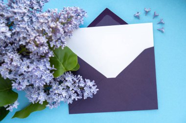 Boş mor zarflı kompozisyon ve mavi arka planda güzel bahar leylak çiçekleri. Mockup kart davetiyesi tebrik kartı posta kartı kopyalama alanı şablonu boş. Çiçek açan leylak dalları