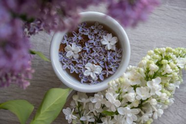 Lezzetli siyah çay beyaz bardakta pencere kenarında aromatik leylak çiçekleriyle. Bahar kompozisyonu bir bardak leylak çayı içerken mor leylak dalları çiçek açıyor. Kopya alanı tebrik kartı için natürmort hayat