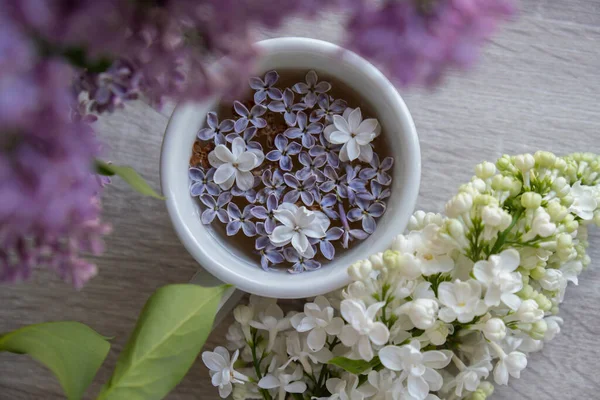 Lezzetli siyah çay beyaz bardakta pencere kenarında aromatik leylak çiçekleriyle. Bahar kompozisyonu bir bardak leylak çayı içerken mor leylak dalları çiçek açıyor. Kopya alanı tebrik kartı için natürmort hayat