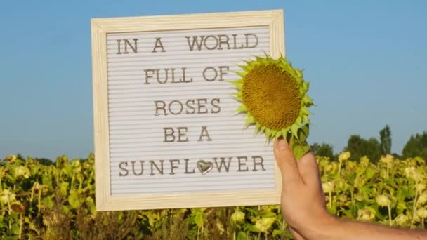 Mundo Lleno Rosas Ser Texto Sunflower Pizarra Blanca Junto Campo — Vídeos de Stock