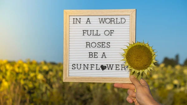 IN A WORLD FULL OF ROSES BE A SUNFLOWER text on white board next to sunflower field. Motivational caption inspirational quote. Be unique saying phrase humor concept. Sunny summer day