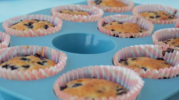 Muffins Aux Myrtilles Frais Cuits Four Savoureux Cupcake Sucré Dessert — Video