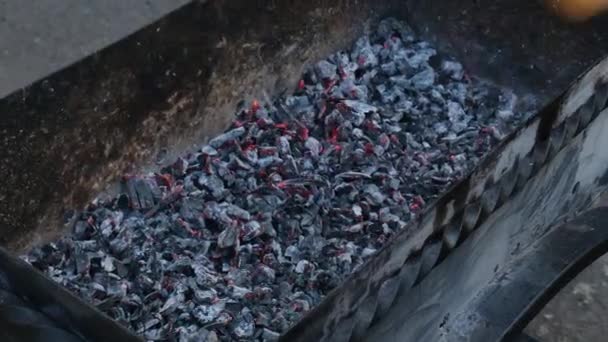 バーベキューの煙のために石炭を準備し 石炭で焼くために燃える認識できない男 裏庭にある暖炉の火の木炭 燃える炭は準備ができているグリルの木炭に木を変えます — ストック動画