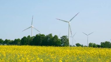 Kırsal bölgedeki bulutlu mavi gökyüzüne karşı çimenli sarı kanola tarlasında rüzgar türbini. İklim dostu yenilenebilir enerji kavramı. Rüzgar santrali elektrik üretiyor. Yenilenebilir yeşil temiz