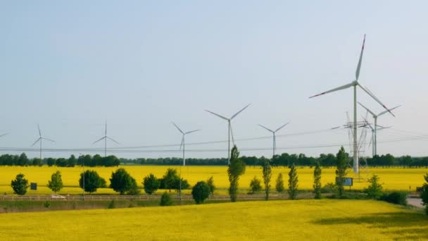 農村部の曇った青空に対して 芝生の黄色い農場のカノーラ畑の風力タービン 気候に優しい再生可能エネルギーの概念 発電する風力発電所 再生可能な緑クリーン — ストック動画