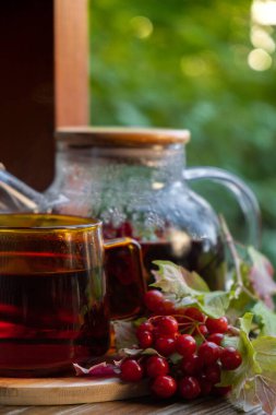 Guelder gülü Viburnum kırmızı böğürtlen çayı yeşil bahçe arka planında masada hayat devam ediyor. Sağlıklı sıcak içecek faydaları. Doğal organik aromatik içecekler. Çay için ev yapımı bağışıklık artırıcı otlar.