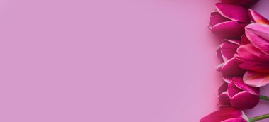 Pembe arka planda güzel pembe lale buketi olan metin ya da tasarımın için boş çerçeve kopyalama alanı. Tatil tebrik kartı için şablon oluşturun. Sevgililer Günü 'ne bayılırım. Üst görünüm boş yatıyordu