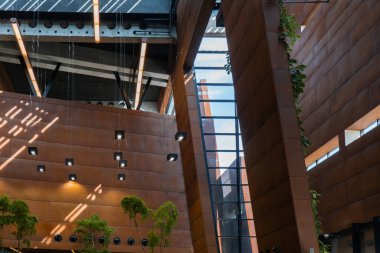 Avrupa Dayanışma Merkezi Gdansk Polonya 'da kapalı alan ağaçları modern iç tasarım. Biyofili tasarımı doğa yeşili alanlara bağlanıyor. Avrupa 'daki modern soyut müze. Seyahat yeri turisti