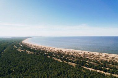 Polonya 'da Baltık Denizi' nin kumlu plajlı yeşil ormanlı AERIAL manzaralı İHA. Gdansk Polonya 'daki Sobieszewo adasında doğa rezervi