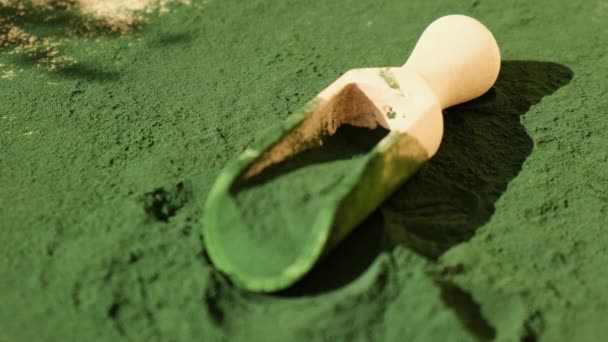 Algas Verde Azuladas Orgânicas Spirulina Alimentos Colher Madeira Benefícios Para — Vídeo de Stock
