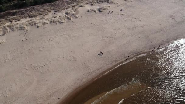 海面上海浪的无人机航拍 海滩和沙丘的黑暗平静的海浪的自然景观捕捉无人机 波兰的旅游业 — 图库视频影像