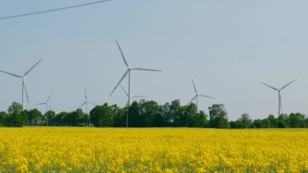 農村部の曇った青空に対して 芝生の黄色い農場のカノーラ畑の風力タービン 気候に優しい再生可能エネルギーの概念 発電する風力発電所 再生可能な緑クリーン — ストック動画