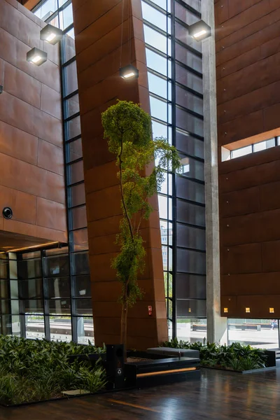 Indoor trees Modern interior design in European Solidarity Centre Gdansk Poland. Biophilia design connecting with nature green areas. Modern abstract museum in Europe. Travel destination tourist