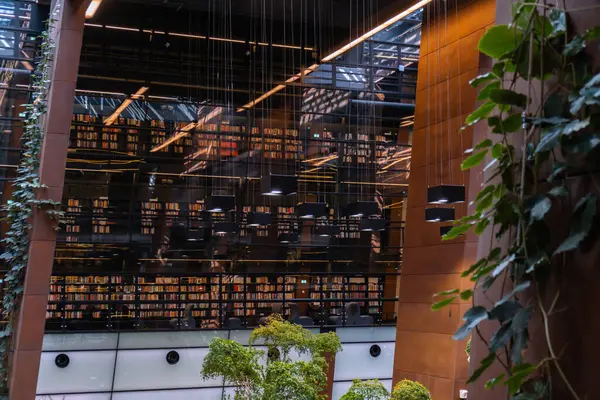 Public Library architecture bookcase Indoor trees Modern interior design of library in European Solidarity Centre Gdansk Poland. Biophilia design connecting with nature green areas. Modern abstract