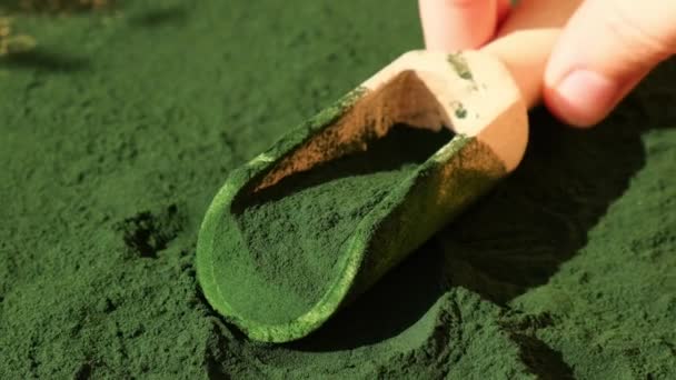 Органічні Синьо Зелені Водорості Спіруліна Порошок Їжі Дерев Яній Ложці — стокове відео