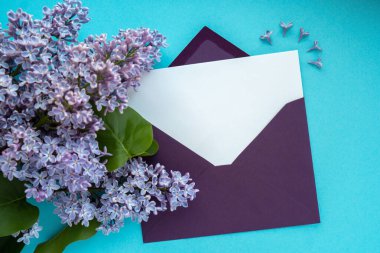 Boş mor zarflı kompozisyon ve mavi arka planda güzel bahar leylak çiçekleri. Mockup kart davetiyesi tebrik kartı posta kartı kopyalama alanı şablonu boş. Çiçek açan leylak dalları. 