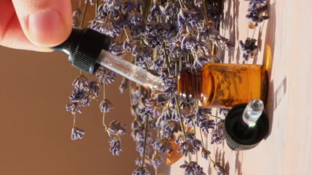 Glazen Druppelaar Met Gedroogde Lavendelbloemen Wild Geoogste Essentiële Olie Schoonheidsproduct — Stockvideo