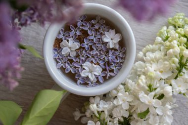 Lezzetli siyah çay beyaz bardakta pencere kenarında aromatik leylak çiçekleriyle. Bahar kompozisyonu bir bardak leylak çayı içerken mor leylak dalları çiçek açıyor. Kopya alanı tebrik kartı için natürmort hayat