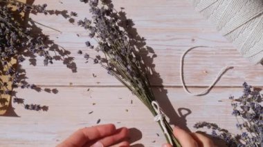 Üst görünüm düz işlem, kurutulmuş lavanta çiçekleri buketleri yapıyor. Pamuk ip, makas. Kadın ev yapımı şifalı ot buketi yapıyor. Kış için hazırlanıyor 