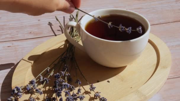 Lavender Flowers Herbal Cup Tea Concept Herbal Medicine Natural Remedy — Stock Video