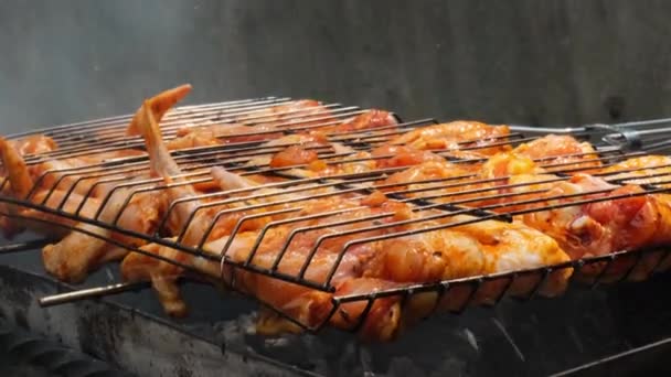 Bbq Piknik Czas Pieczone Nogi Kurczaka Skrzydełka Grillu Grillowanie Mięsa — Wideo stockowe