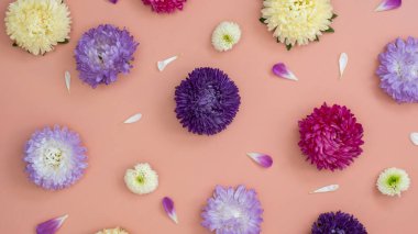 Pembe arka planda karışık renk çiçekleri ve yapraklar var. Arkaplan olarak pembe beyaz ve mor çiçekler. Doğal doku arkaplanı ekle