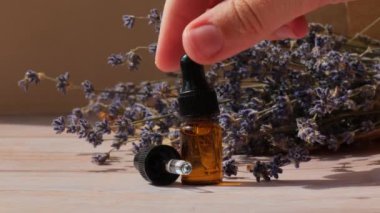 Tanınmayan bir kadın, kurumuş lavanta çiçekleriyle cam şişe damlatıcısını gösteriyor. Vahşi hasat, gerekli yağ güzellik ürünlerini topladı. Organik bitkiler. Cilt malzemesi. Çevre dostu..