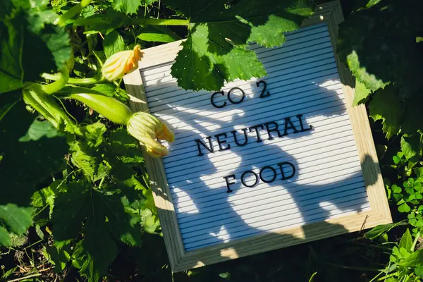 stock image Letter board with text CO2 NEUTRAL FOOD on background of garden bed with green zucchini. Organic farming, produce local vegetables concept. Supporting local farmers. Seasonal market 