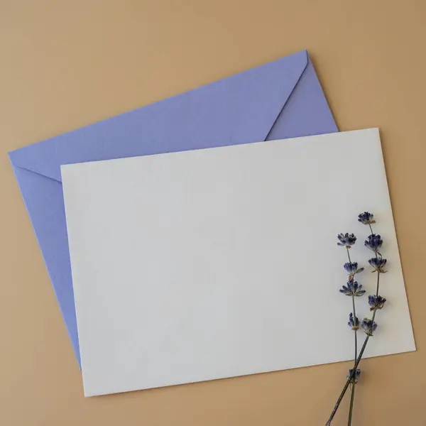 Empty white envelope paper card note template mock up. Copy space for your text. Lavender flower. Greeting or invitation card blank with envelope. Top view, flat lay