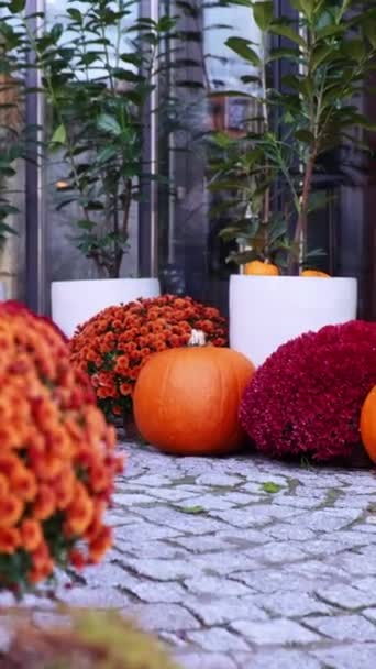Vertikální Exteriér Krásné Útulné Atmosférické Halloween Dýně Zdobené Verandě Podzimní — Stock video