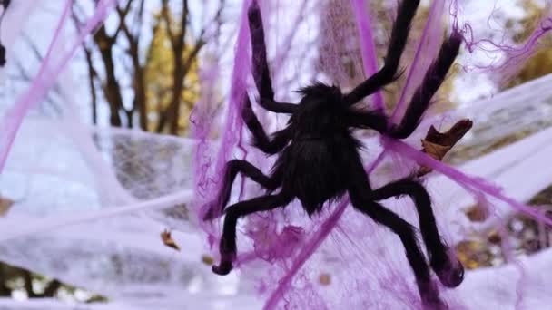 Dış Atmosferik Cadılar Bayramı Menekşe Örümceği Ağı Parti Dekorasyonu Için — Stok video