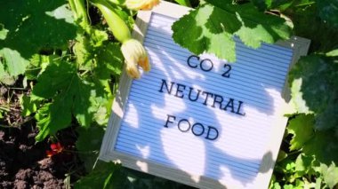 Bahçede yetişen yeni çevre dostu yeşil kabağın arka planında CO2 NEUTRAL yiyecek mesajı. Kırsal gıda üretim konsepti. Yerel olarak hasat üretiliyor. Sürdürülebilirlik ve sorumluluk 