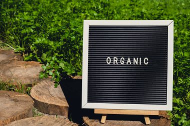 Çevre dostu, yeşil maydanozlu maydanozun arka planında ORGANIC mesajı var. Kırsal gıda üretim konsepti. Yerel olarak hasat üretiliyor. Sürdürülebilirlik ve sorumluluk 