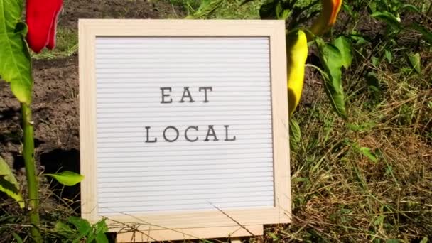 庭で新鮮なエコフレンドリーなバイオ栽培のベルペッパーの背景に関するEat Localメッセージ 食糧生産コンセプト 地元で収穫する 持続可能性と責任 — ストック動画