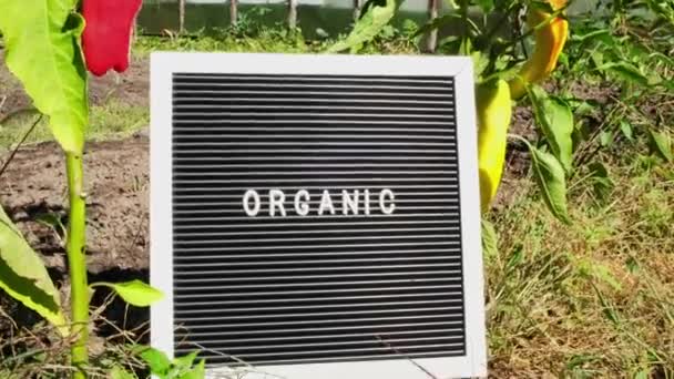 Tablero Letras Con Texto Orgánico Sobre Fondo Cama Jardín Con — Vídeos de Stock
