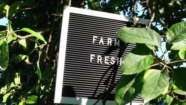 庭の新鮮なエコフレンドリーなバイオ栽培の緑のリンゴの背景にFarm Freshテキストが付いている手紙ボード 有機農業 地元の野菜のコンセプトを生み出しています 地元の農民を支援する シーズンマーケット — ストック動画