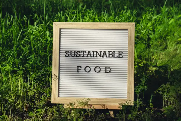 stock image SUSTAINABLE FOOD message on background of fresh eco-friendly bio grown green herb dill in garden. Countryside food production concept. Locally produce harvesting. Sustainability and responsibility 