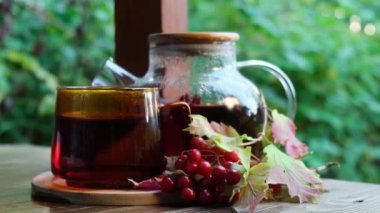 Guelder gülü Viburum kırmızı böğürtlen. Sağlıklı çay fincanı ve bahçe masasında çay demliği. Bitki ilacı. Nefis tisane çayı. Taze sarı karahindiba çiçeği çiçekli çay fincanı. Yeşil temizleme