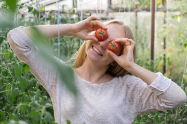 Serada kırmızı organik domates hasat eden ve eğlenen sarışın kadın portresi. Sağlıklı ev yemeği konsepti. Cottagecore kırsal yaşam 