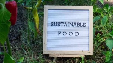 Bahçe yatağının arka planında dolmalık biberli SUSTAINable Food yazan bir pano. Organik tarım, yerel sebze üretimi. Yerel çiftçileri destekliyorum. Mevsimlik pazar 