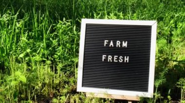 Bahçe yatağının arka planında yeşil dereotlu FARM FRESH yazılı harf tahtası. Organik tarım, yerel sebze üretimi. Yerel çiftçileri destekliyorum. Mevsimlik pazar 