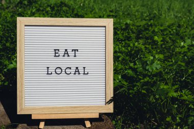 Bahçe yatağının arka planında yeşil otlu maydanozlu 