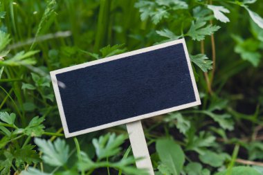 Karatahta boş fotokopi alanı. Tarla reklamları için. Çevre dostu sürdürülebilir maydanozun arka planı. Metin şablonu için yer çiftlik çekirdeğini modelle sağlıklı tarımsal gıda üretimi 