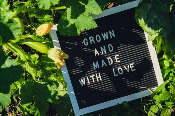 stock image GROWN AND MADE WITH LOVE message on background of fresh eco-friendly bio grown green zucchini in garden. Countryside food production concept. Locally produce harvesting. Sustainability and