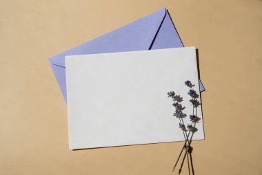 Beyaz kağıttan tebrik kartının düz kompozisyonu kuru lavanta çiçekleriyle dolu zarfın üzerindeydi. Uzay şablonunu kopyala. Üst Manzara. Düğün davetiyesi kartpostalı konsepti. Ticari reklam markası